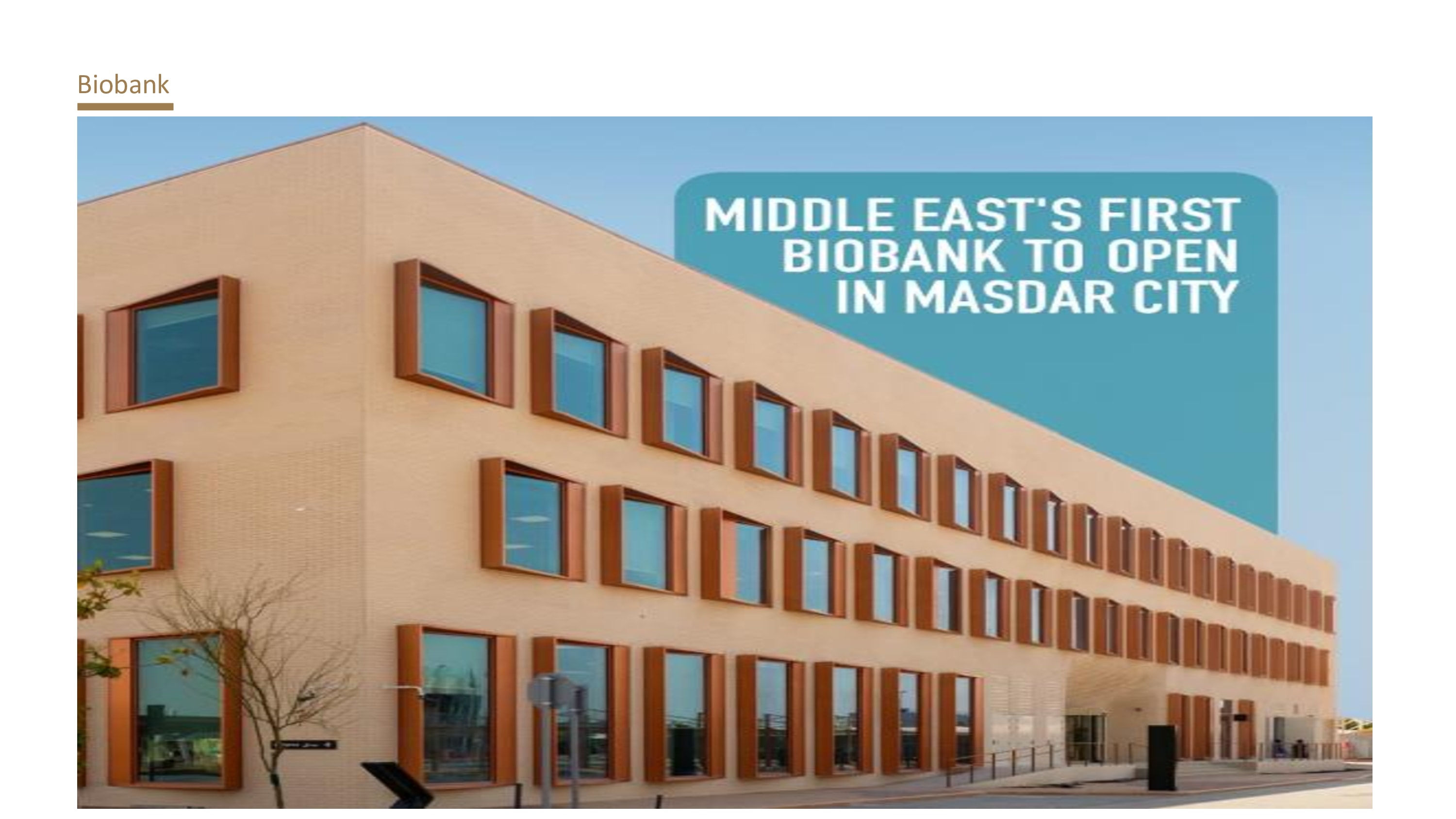 Biobank, Masdar City — Laboratories, offices, meeting rooms & café — design and build